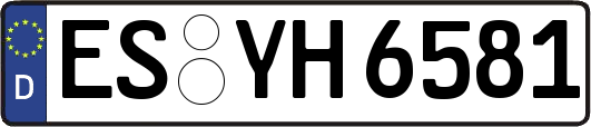ES-YH6581