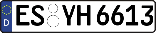 ES-YH6613