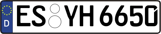 ES-YH6650