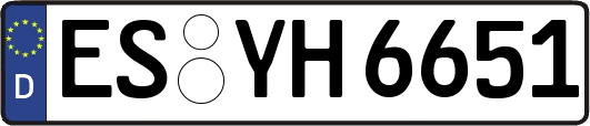 ES-YH6651