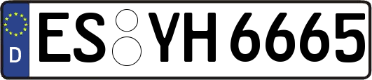 ES-YH6665