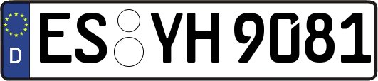 ES-YH9081