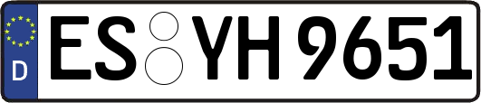 ES-YH9651