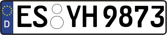 ES-YH9873