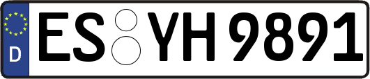 ES-YH9891