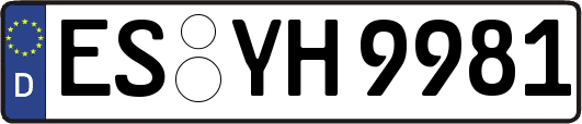ES-YH9981