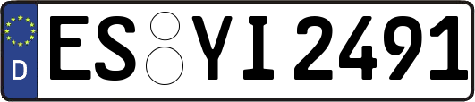 ES-YI2491