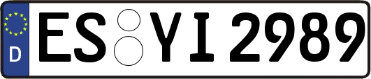 ES-YI2989