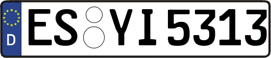 ES-YI5313