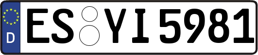 ES-YI5981