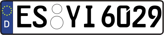 ES-YI6029