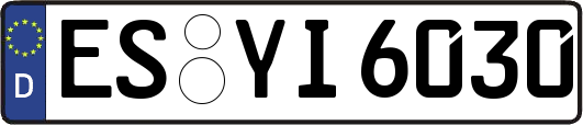 ES-YI6030