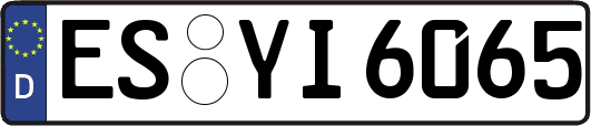 ES-YI6065