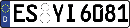 ES-YI6081