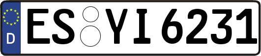 ES-YI6231