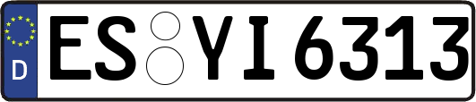 ES-YI6313