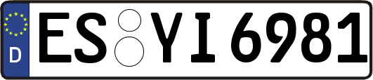 ES-YI6981