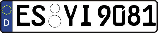 ES-YI9081