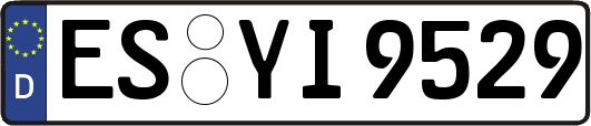 ES-YI9529