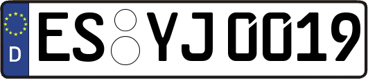 ES-YJ0019