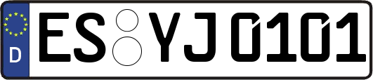 ES-YJ0101