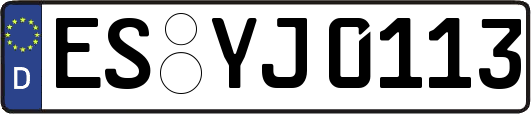 ES-YJ0113