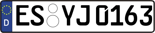 ES-YJ0163