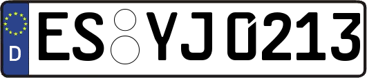 ES-YJ0213