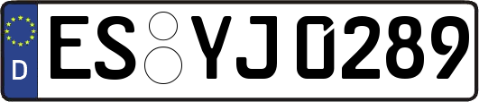 ES-YJ0289