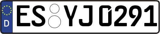 ES-YJ0291