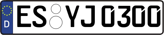 ES-YJ0300
