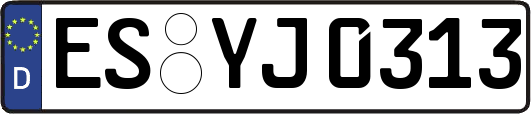 ES-YJ0313