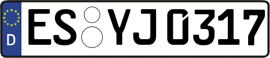 ES-YJ0317