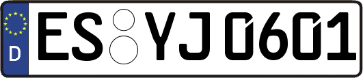 ES-YJ0601