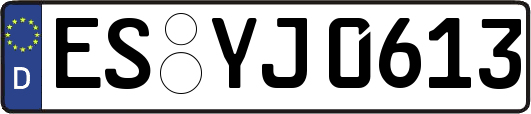 ES-YJ0613