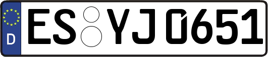 ES-YJ0651