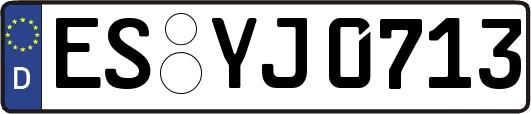 ES-YJ0713