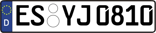 ES-YJ0810