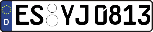 ES-YJ0813