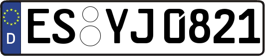 ES-YJ0821