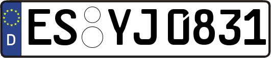 ES-YJ0831