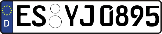 ES-YJ0895