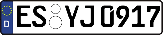 ES-YJ0917