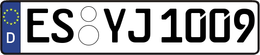 ES-YJ1009