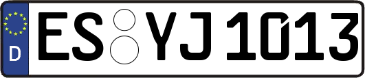 ES-YJ1013