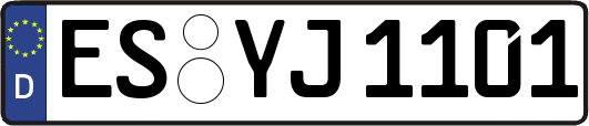 ES-YJ1101