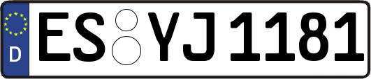ES-YJ1181
