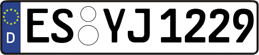 ES-YJ1229