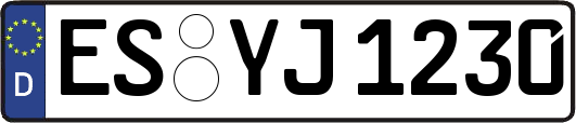 ES-YJ1230