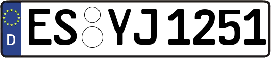 ES-YJ1251